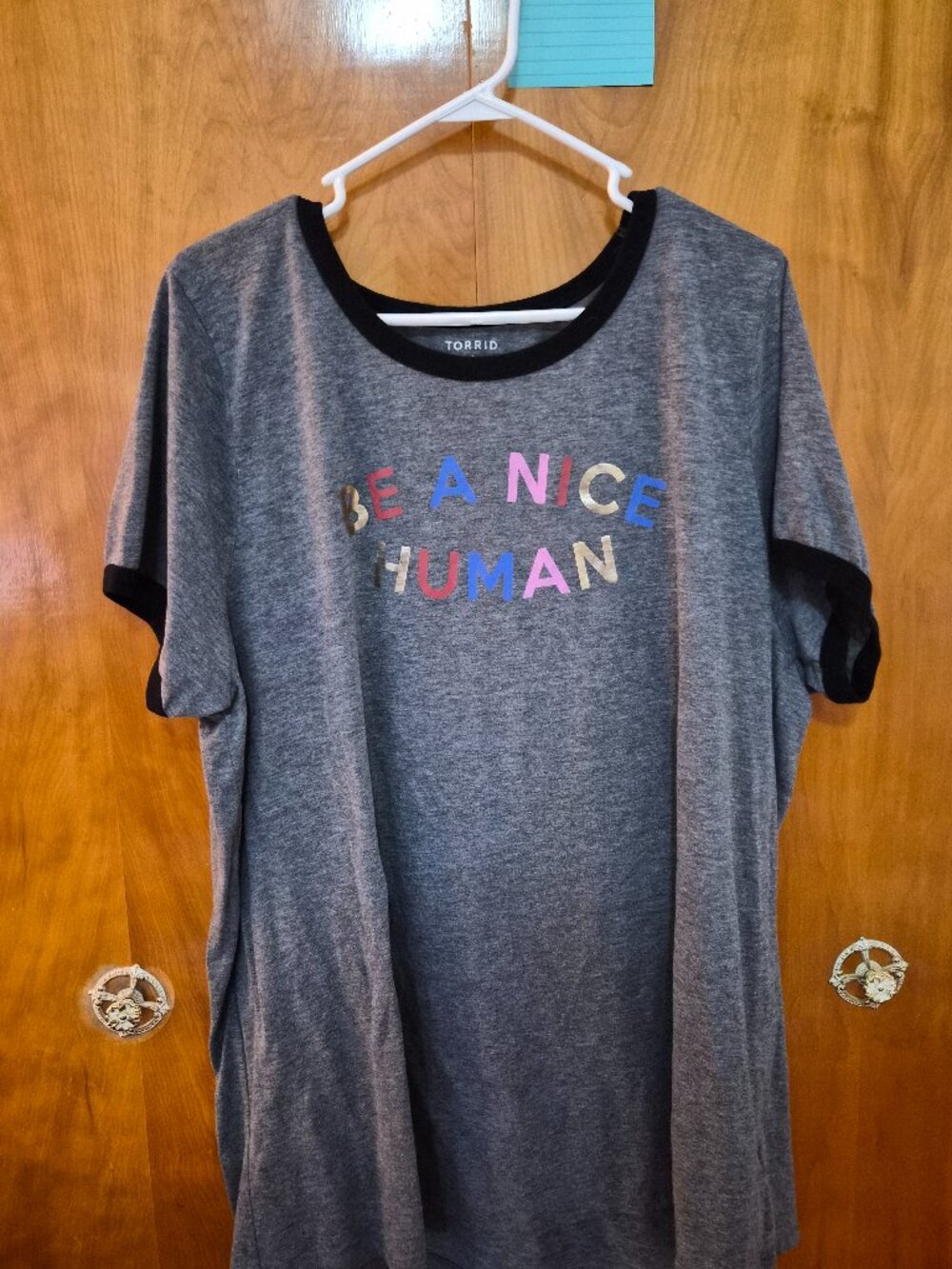 Torrid "Be a Nice Human" Ringer Tee | Women's Plus Size 4 | Gray Graphic T-Shirt